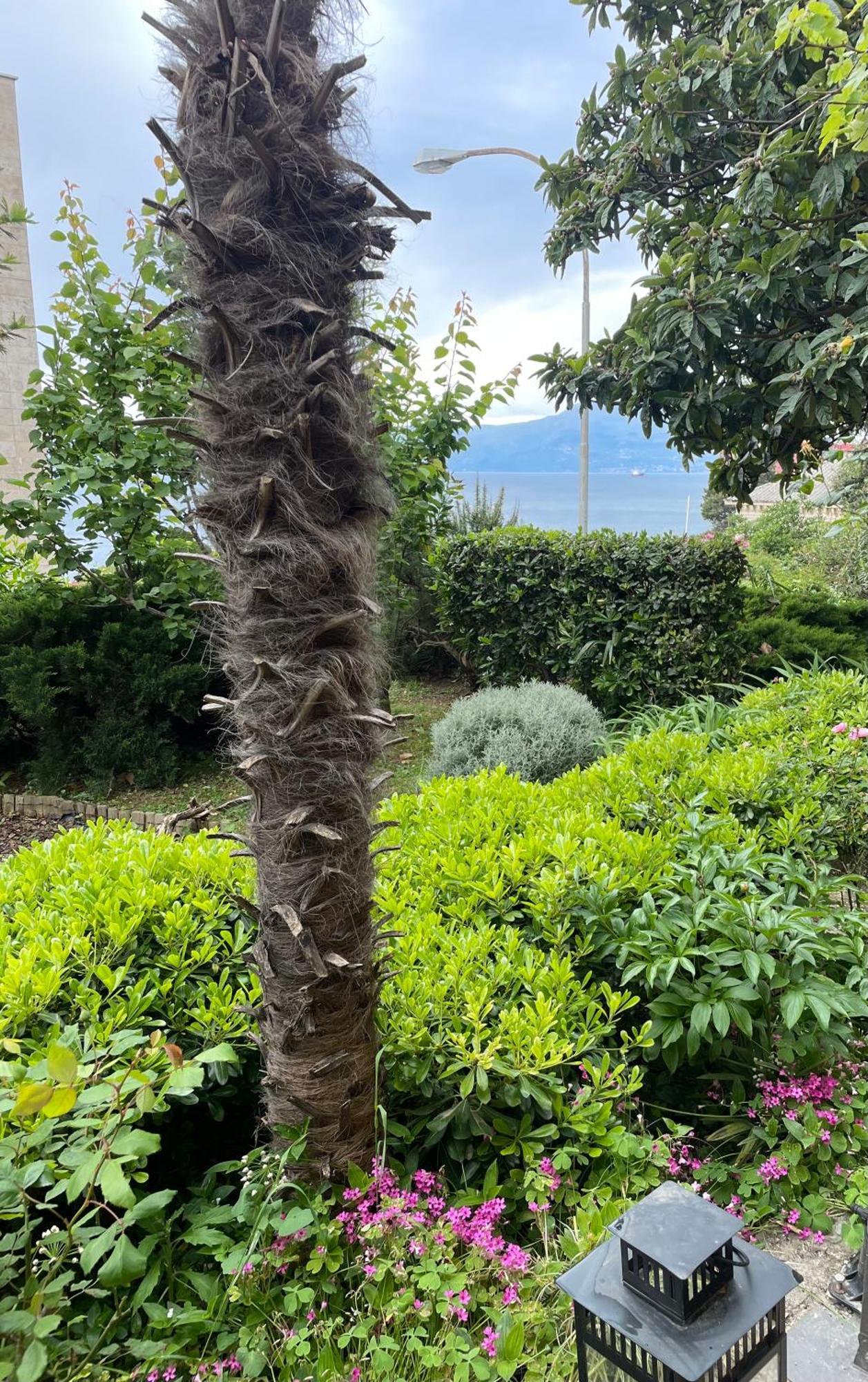 Dolce Vita Rijeka Ngoại thất bức ảnh